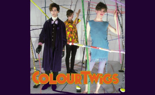 Colour Twigs