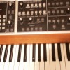 Memory Moog Section